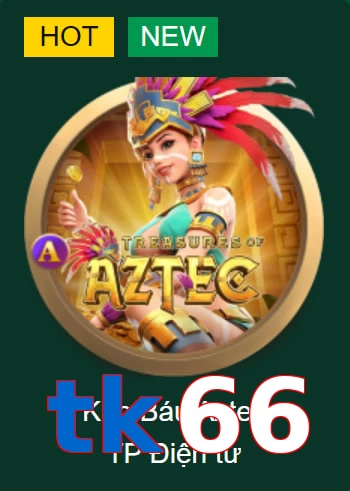 tk66